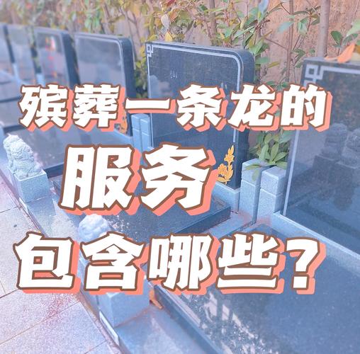 综上所述，《醉逍遥》SF发布网站的一条龙服务为玩家提供了便捷、高效、个性化的游戏体验。在选择时，玩家应综合考虑网站的信誉度、服务质量、安全性和定制化程度等因素，以确保获得最佳的游戏享受。同时，也应注意遵守相关法律法规和游戏规则，共同维护一个健康、和谐的游戏环境。